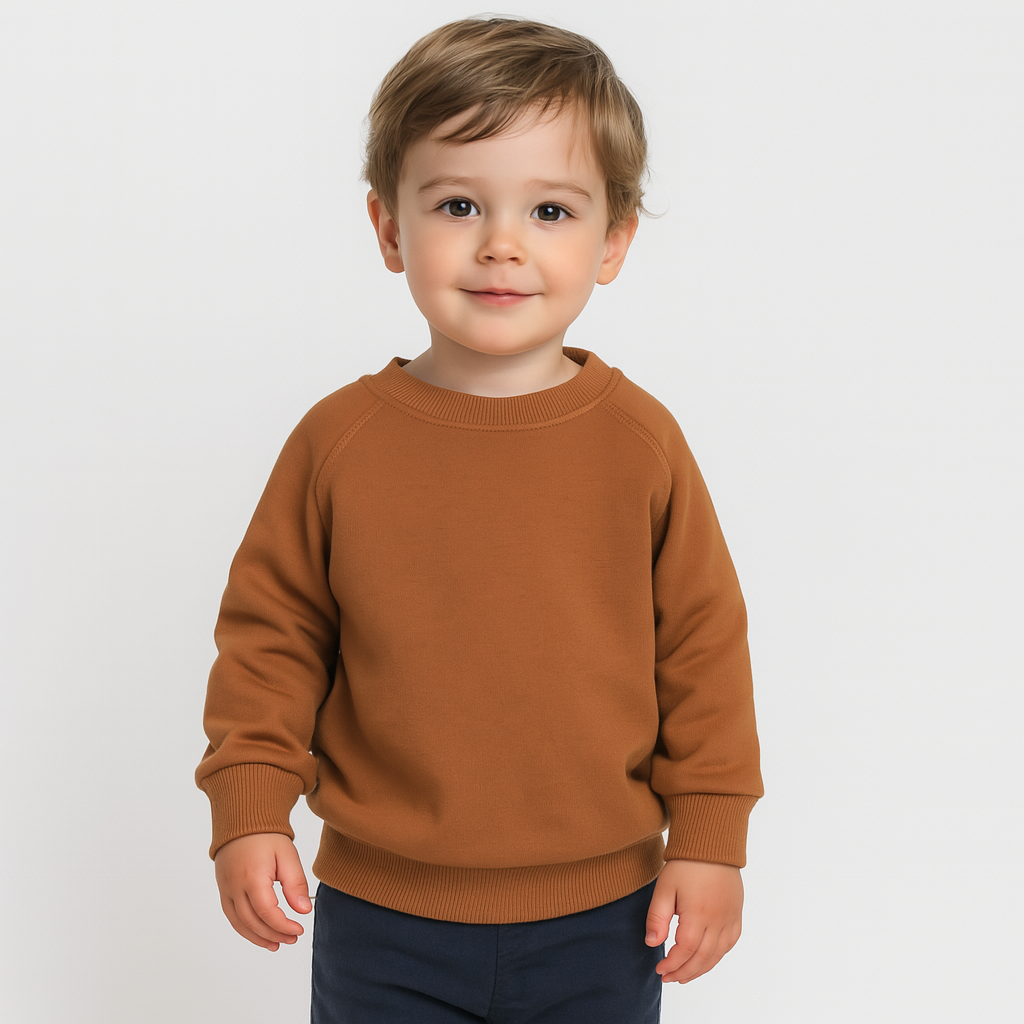 Boys Brown Cotton Sweatshirt